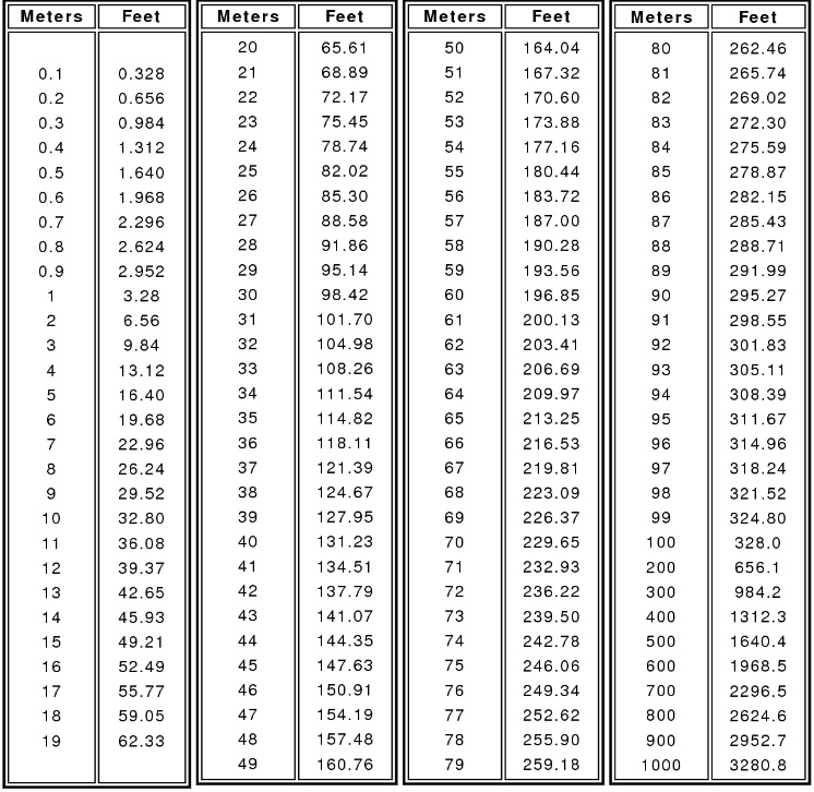 Convert Meters To Feet 100